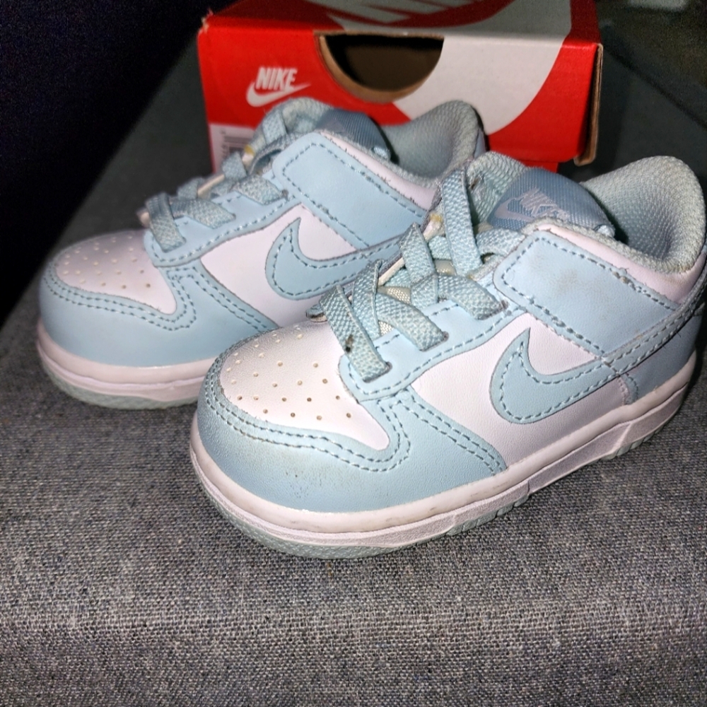 Nike dunk low toddler